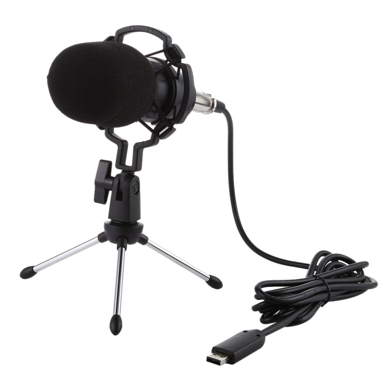 BM-700 USB Professional Condenser Microphone - Microphone by buy2fix | Online Shopping UK | buy2fix