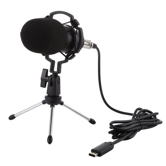 BM-700 USB Professional Condenser Microphone - Microphone by buy2fix | Online Shopping UK | buy2fix