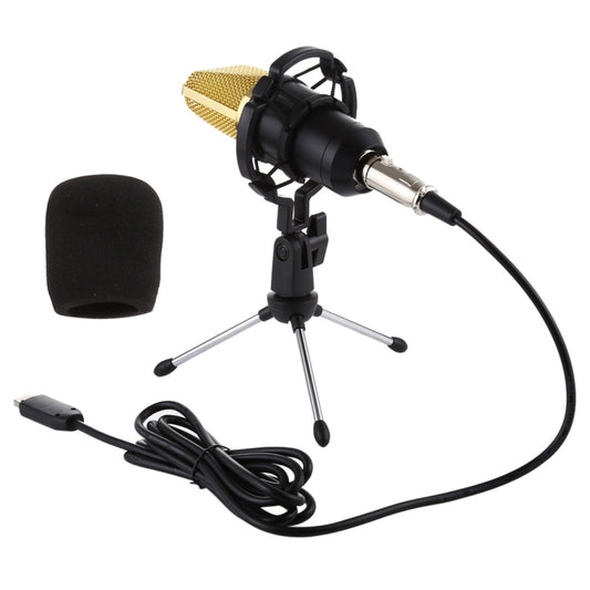 BM-700 USB Professional Condenser Microphone - Microphone by buy2fix | Online Shopping UK | buy2fix