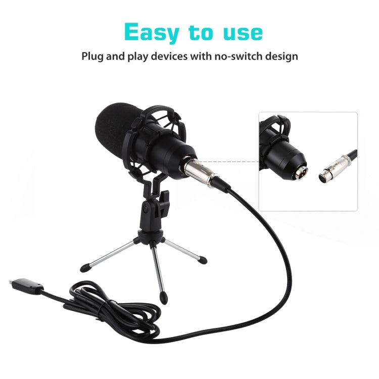 BM-700 USB Professional Condenser Microphone - Microphone by buy2fix | Online Shopping UK | buy2fix