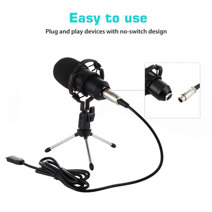 BM-700 USB Professional Condenser Microphone - Microphone by buy2fix | Online Shopping UK | buy2fix