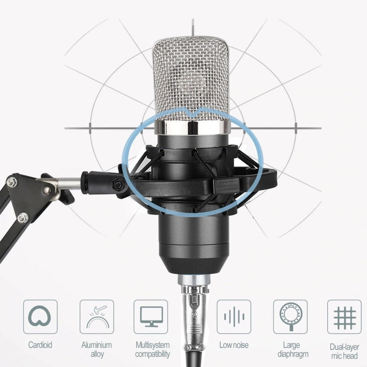 BM-700 USB Professional Condenser Microphone - Microphone by buy2fix | Online Shopping UK | buy2fix