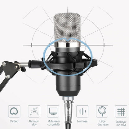 BM-700 USB Professional Condenser Microphone - Microphone by buy2fix | Online Shopping UK | buy2fix