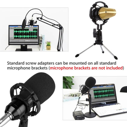 BM-700 USB Professional Condenser Microphone - Microphone by buy2fix | Online Shopping UK | buy2fix