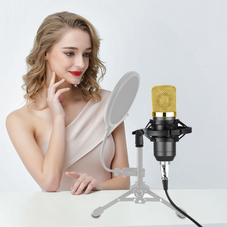 BM-700 USB Professional Condenser Microphone - Microphone by buy2fix | Online Shopping UK | buy2fix