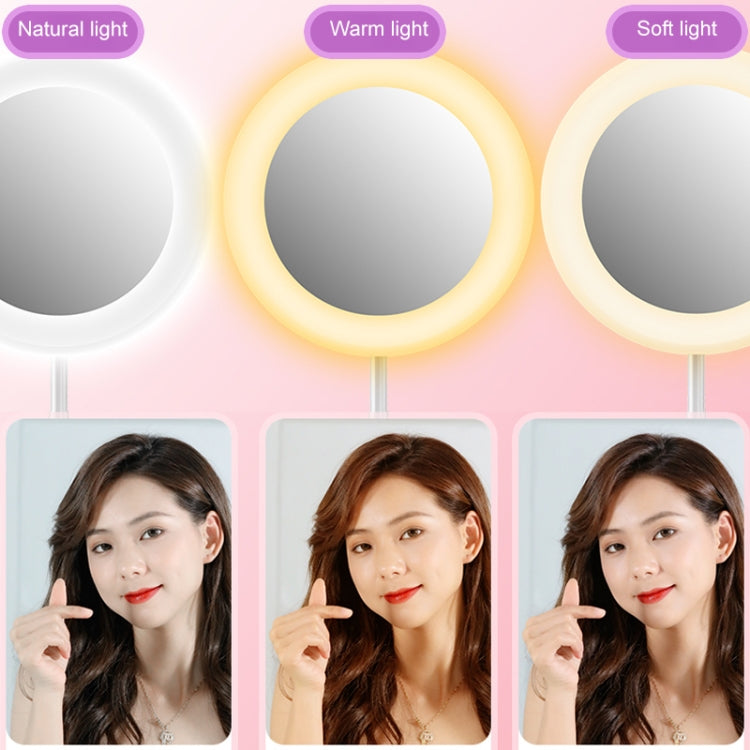 G6 Multi-function Live Broadcast All-in-one Ring Beauty Fill Light Mobile Phone Holder (Black) - Ring Light by buy2fix | Online Shopping UK | buy2fix
