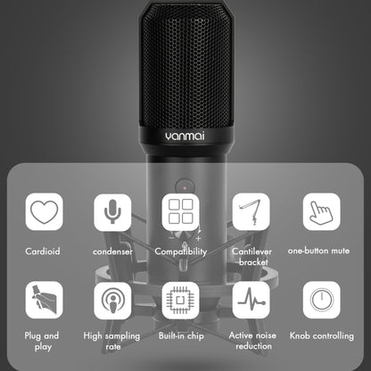 Yanmai Q10B USB Recording Microphone Kit - Microphone by Yanmai | Online Shopping UK | buy2fix