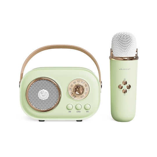 Haut-parleur Bluetooth karaoké multifonctionnel C20 Plus avec microphone (vert)