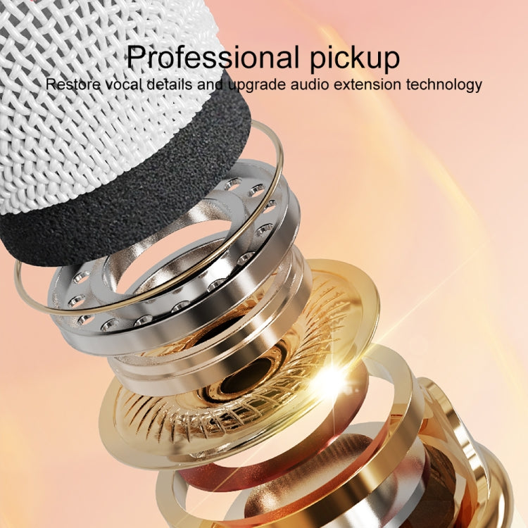 C20 Plus Multifunctional Karaoke Bluetooth Speaker With Microphone (Pink) by buy2fix