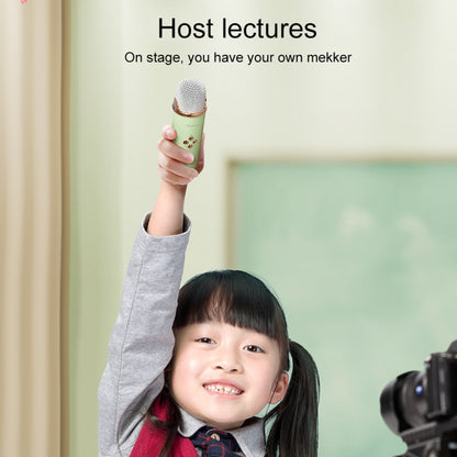 C20 Plus Multifunctional Karaoke Bluetooth Speaker With Microphone (Pink) by buy2fix