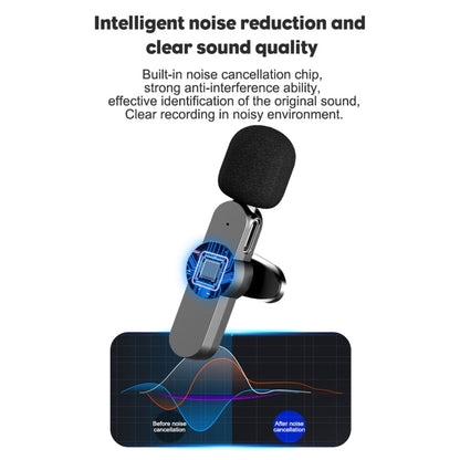 Type-C / USB-C Interface Live Broadcast Wireless Lavalier Microphone - Microphone by buy2fix | Online Shopping UK | buy2fix
