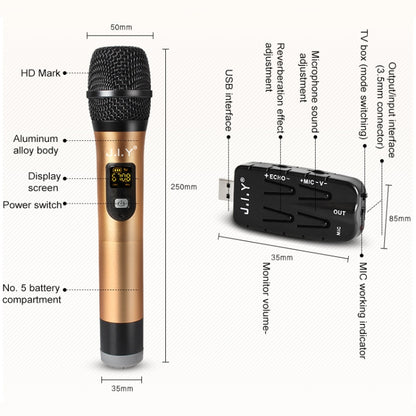 J.I.Y 2 in 1 K Song Wireless Microphones for TV PC with Audio Card USB Receiver and LED Display (Gold) - Microphone by buy2fix | Online Shopping UK | buy2fix