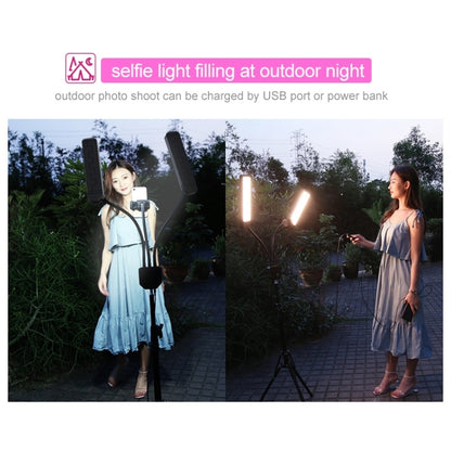 RK39 Portable Tri-color Adjustable Brightness Double Arms Fill Light with Phone Clip(Black) - Selfie Light by buy2fix | Online Shopping UK | buy2fix