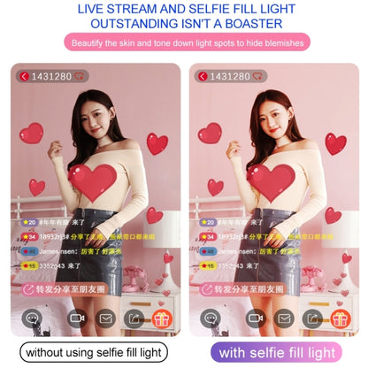 RK39 Portable Tri-color Adjustable Brightness Double Arms Fill Light with Phone Clip(Black) - Selfie Light by buy2fix | Online Shopping UK | buy2fix