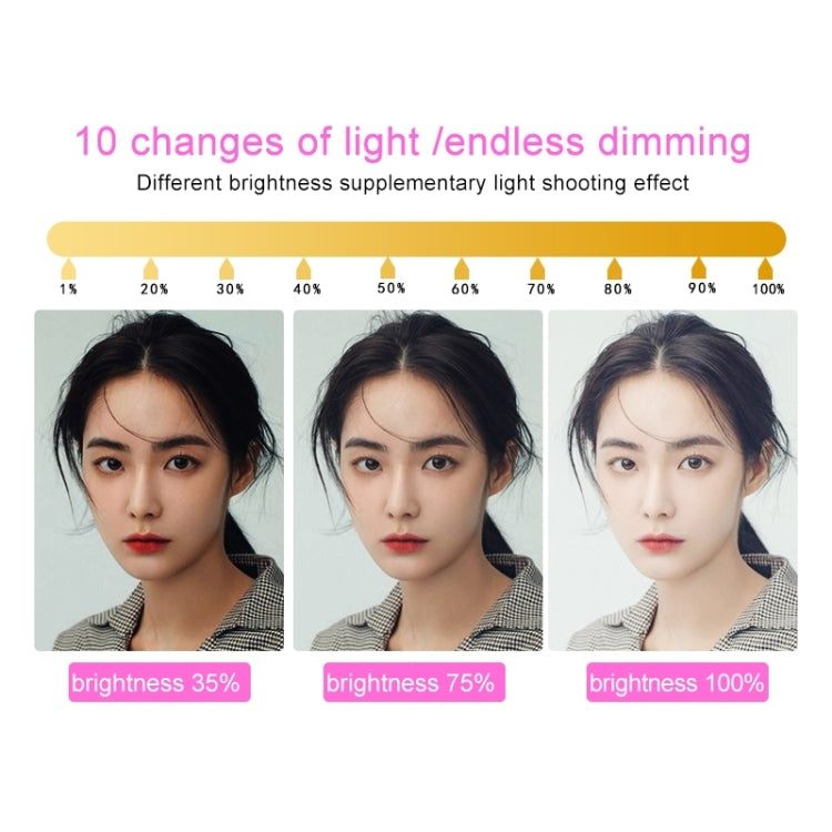 RK39 Portable Tri-color Adjustable Brightness Double Arms Fill Light with Phone Clip(Black) - Selfie Light by buy2fix | Online Shopping UK | buy2fix
