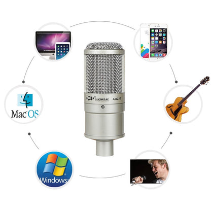 AQ-220 K Song Live Recording Noise Reduction Capacitor Microphone - Microphone by buy2fix | Online Shopping UK | buy2fix