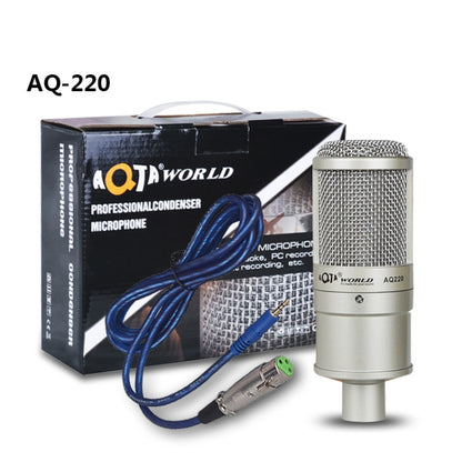 AQ-220 K Song Live Recording Noise Reduction Capacitor Microphone - Microphone by buy2fix | Online Shopping UK | buy2fix
