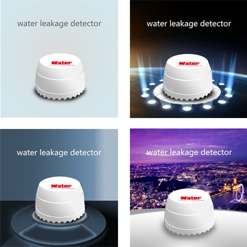 DY-SQ100B Water Leakage Detector with Two Sensors(White) - Water Leakage Alarm by buy2fix | Online Shopping UK | buy2fix