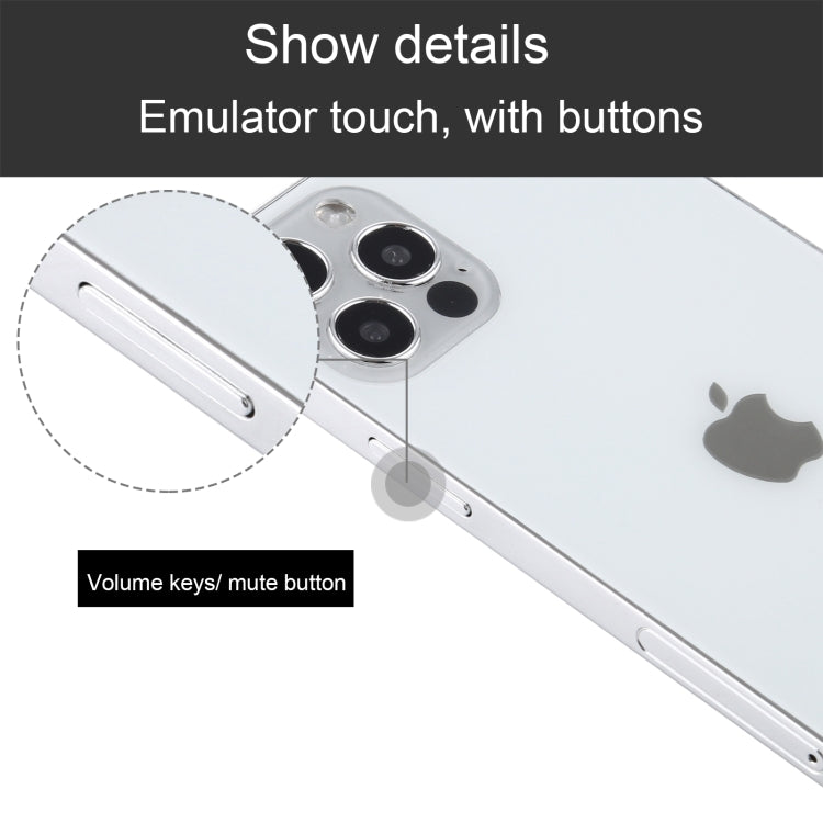 For iPhone 12 Pro Max Black Screen Non-Working Fake Dummy Display Model(Silver) - For iPhone & iPad by buy2fix | Online Shopping UK | buy2fix