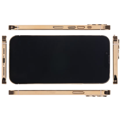 For iPhone 13 Pro Max Black Screen Non-Working Fake Dummy Display Model(Gold) - For iPhone & iPad by buy2fix | Online Shopping UK | buy2fix