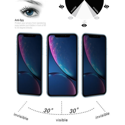 For iPhone XR 0.4mm 9H Surface Hardness 180 Degree Privacy Anti Glare Screen Protector - iPhone XR Tempered Glass by buy2fix | Online Shopping UK | buy2fix