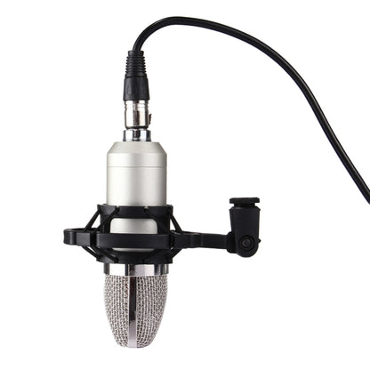 FIFINE F-700 Professional Condenser Sound Recording Microphone with Shock Mount for Studio Radio Broadcasting & Live Boardcast, 3.5mm Earphone Port, Cable Length: 2.5m(Silver) - Microphone by buy2fix | Online Shopping UK | buy2fix
