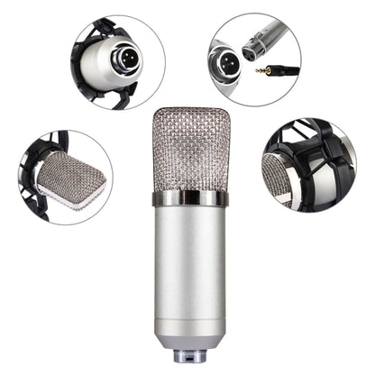 FIFINE F-700 Professional Condenser Sound Recording Microphone with Shock Mount for Studio Radio Broadcasting & Live Boardcast, 3.5mm Earphone Port, Cable Length: 2.5m(Silver) - Microphone by buy2fix | Online Shopping UK | buy2fix