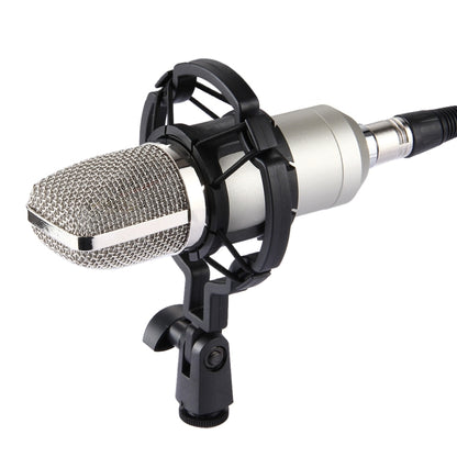 FIFINE F-700 Professional Condenser Sound Recording Microphone with Shock Mount for Studio Radio Broadcasting & Live Boardcast, 3.5mm Earphone Port, Cable Length: 2.5m(Silver) - Microphone by buy2fix | Online Shopping UK | buy2fix