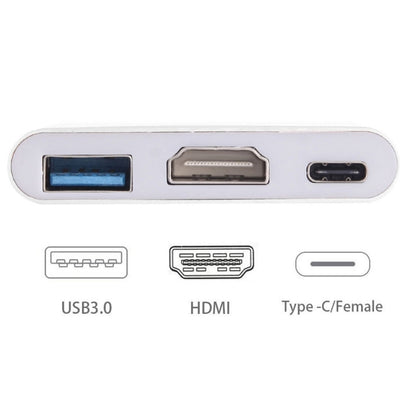 USB-C / Type-C 3.1 Male to USB-C / Type-C 3.1 Female & HDMI Female & USB 3.0 Female Adapter(Silver) by buy2fix