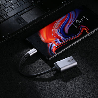 4K 60Hz DP Female to Type-C / USB-C Male Connecting Adapter Cable by buy2fix