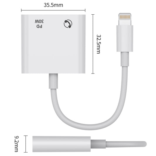 R-PCB-P1 30W 8 Pin to Type-C + 3.5mm Charging & Audio Converter by buy2fix