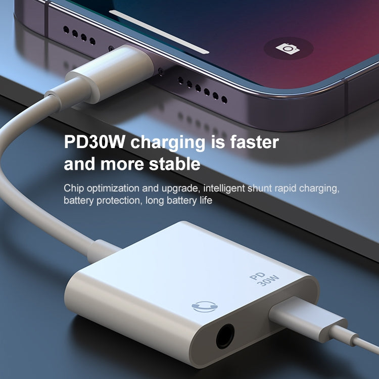 R-PCB-P1 30W 8 Pin to Type-C + 3.5mm Charging & Audio Converter by buy2fix