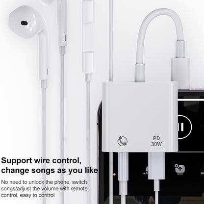 R-PCB-P1 30W 8 Pin to Type-C + 3.5mm Charging & Audio Converter by buy2fix