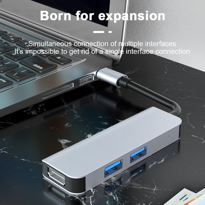 2011N 3 In 1 USB 3.0 x2 + HDMI Multi-function Type-C / USB-C HUB Docking Station by buy2fix