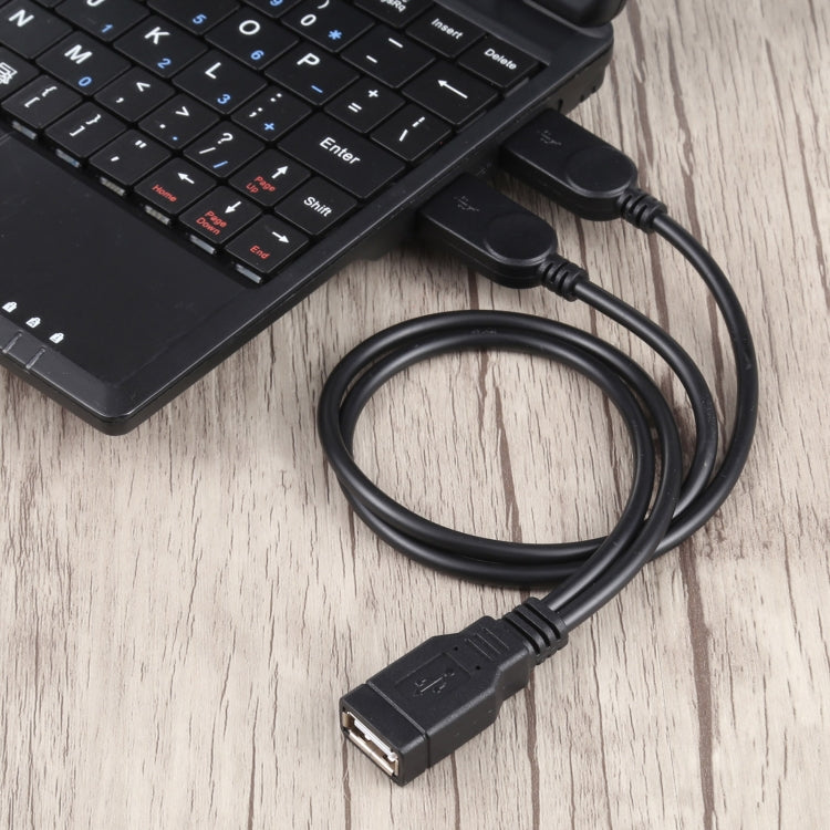 USB Female to 2 USB Male Cable, Length: About 30cm - USB Cable by buy2fix | Online Shopping UK | buy2fix