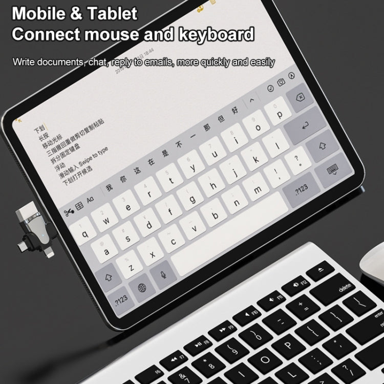 3 In 1 OTG Adapter (Tarnish) by buy2fix
