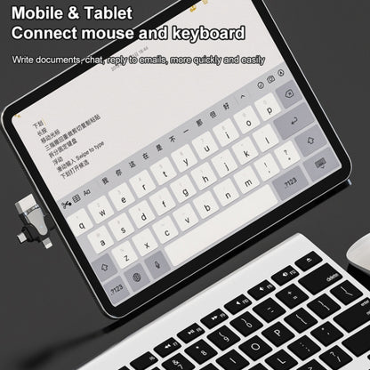 3 In 1 OTG Adapter (Tarnish) by buy2fix