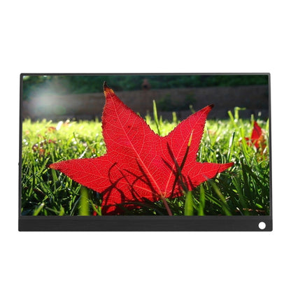 15.6 inch 1080P 178 Degree Wide Angle HD Portable IPS LED Display Monitor - 15 inch Above by buy2fix | Online Shopping UK | buy2fix