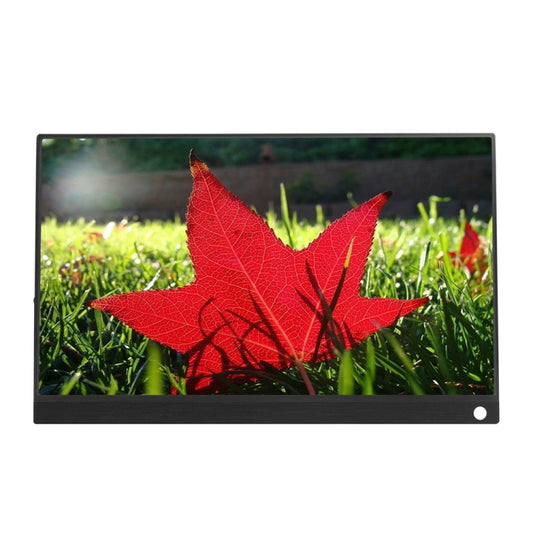 15.6 inch 1080P 178 Degree Wide Angle HD Portable IPS LED Display Monitor - 15 inch Above by buy2fix | Online Shopping UK | buy2fix
