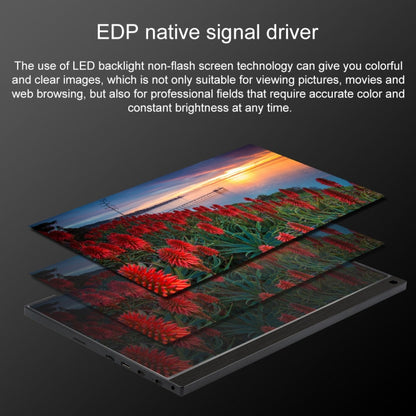 15.6 inch 1080P 178 Degree Wide Angle HD Portable IPS LED Display Monitor - 15 inch Above by buy2fix | Online Shopping UK | buy2fix