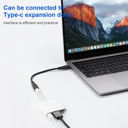USB 3.1 Type-C / USB-C Male to Type-C / USB-C Female Gen2 Adapter Cable, Length: 50cm by buy2fix