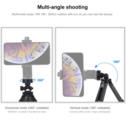 PULUZ Pocket 5-mode Adjustable Desktop Tripod Mount with 1/4 inch Screw for DSLR & Digital Cameras, Adjustable Height: 16.5-21.5cm - Tripods by PULUZ | Online Shopping UK | buy2fix