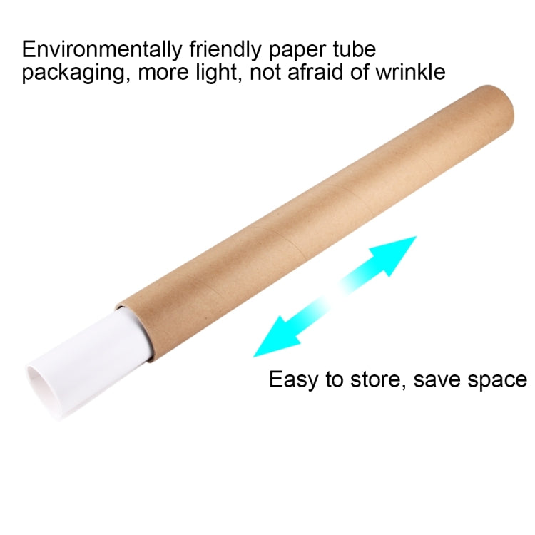 PULUZ Photography Background PVC Paper Kits for Studio Tent Box, Size: 121cm x 58cm(White) - Solid Color by buy2fix | Online Shopping UK | buy2fix