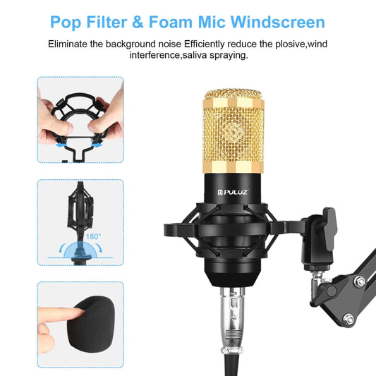 PULUZ Condenser Microphone Studio Broadcast Professional Singing Microphone (Gold) - Microphone by PULUZ | Online Shopping UK | buy2fix