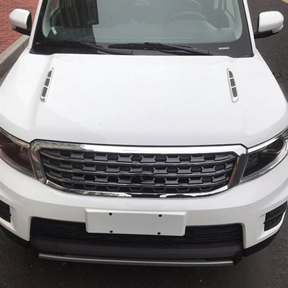 Car Decoration Stickers (Pair) by buy2fix