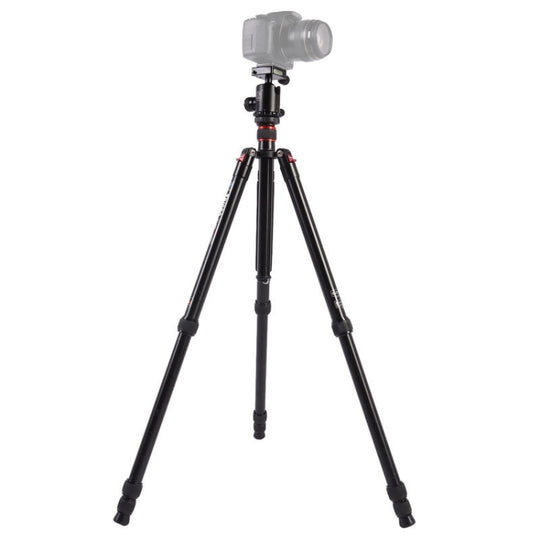Triopo MT-2804C Trépied portable réglable en aluminium (or) avec rotule NB-2S (noir) pour appareil photo reflex numérique Canon Nikon Sony