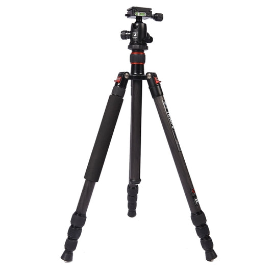 Triopo GT-2504X8.C Adjustable Portable Carbon Fiber Tripod with B-1 Aluminum Ball Head for Canon Nikon Sony DSLR Camera(Black) - Tripods by TRIOPO | Online Shopping UK | buy2fix