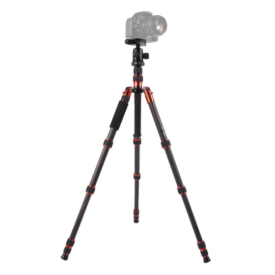 Triopo GT-2505x8.C Adjustable Portable Carbon Fiber Tripod with B-1 Aluminum Ball Head for Canon Nikon Sony DSLR Camera(Black)