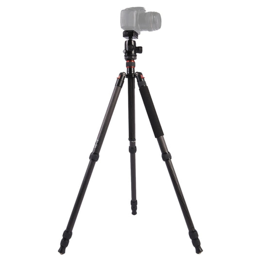 Triopo GT-2804X8.C Trépied portable réglable en fibre de carbone (or) avec rotule en aluminium B-2 (noir) pour appareil photo reflex numérique Canon Nikon Sony