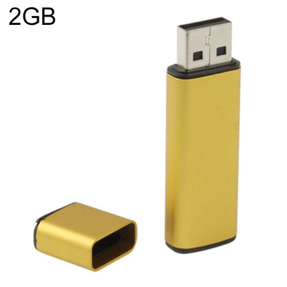 Business Series USB 2.0 Flash Disk, Golden (2GB) by buy2fix